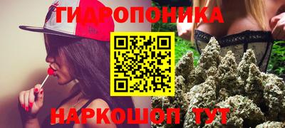 прущие крисы Шелехов