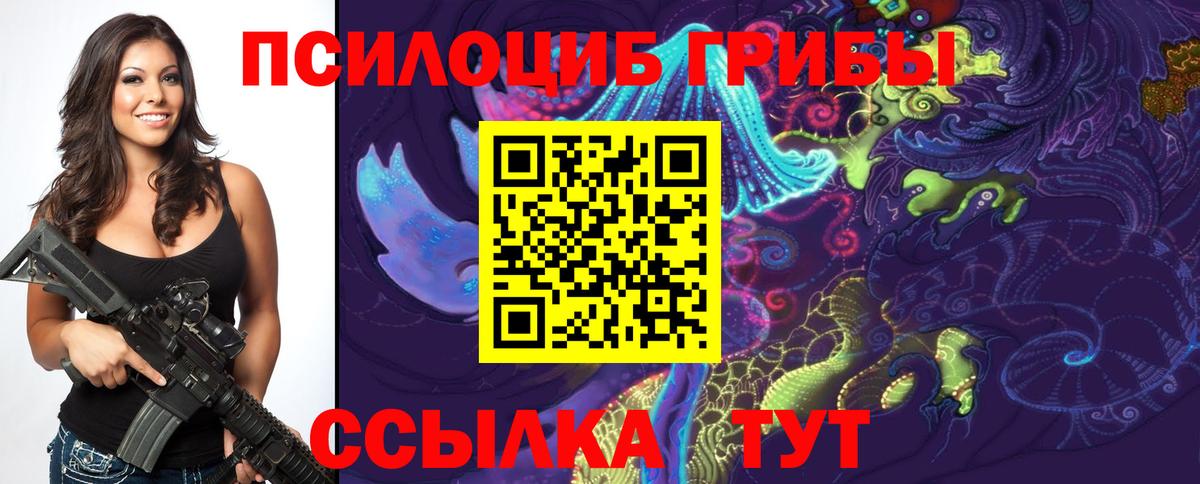 Галлюциногенные грибы Psilocybe Губаха