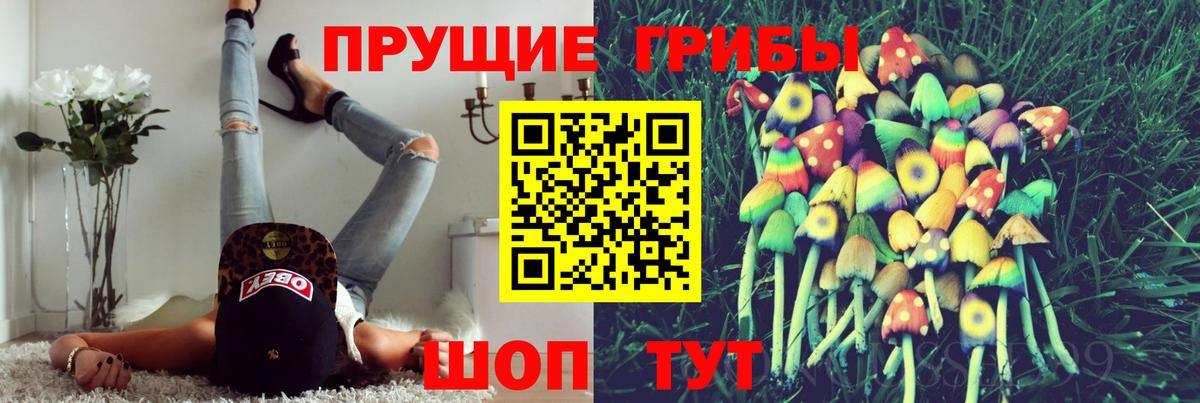 Галлюциногенные грибы Cubensis  Вход с VPN  Псилоцибиновые грибы ЛСД  Губаха 